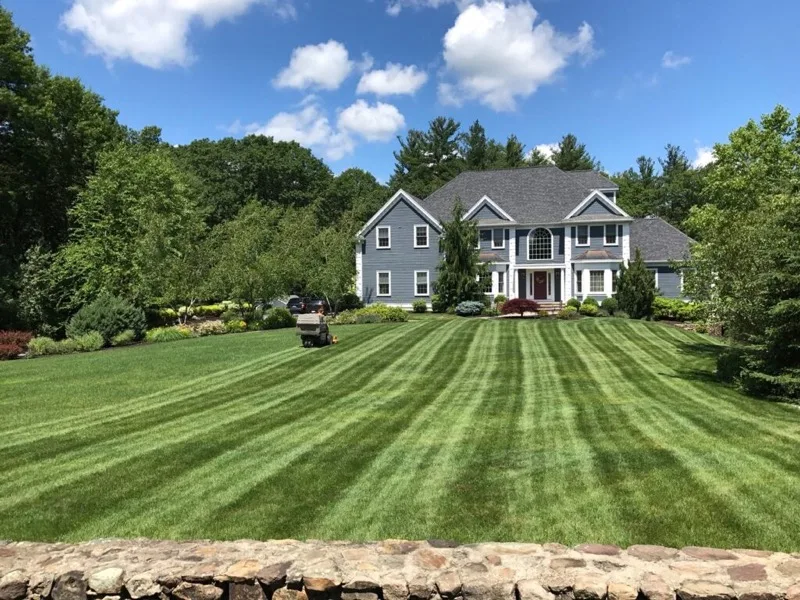 Freshly mowed and striped residential lawn