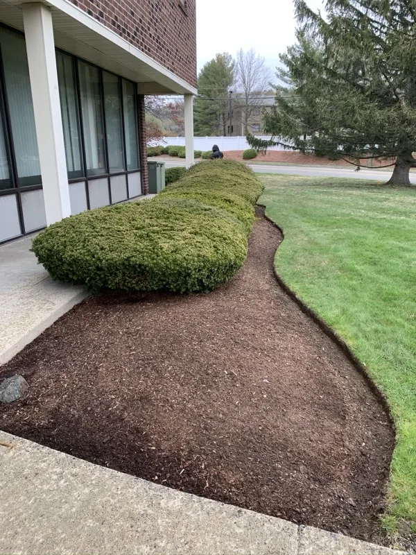 Freshly edged and mulched garden bed